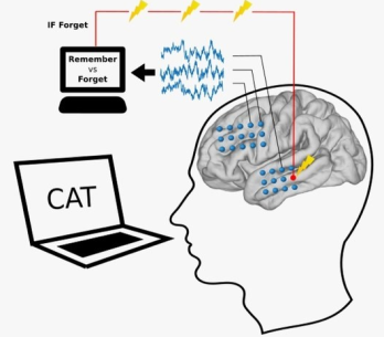机器学习算法学会了关联电极信号和患者记住单词的可能性