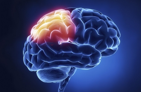 科学家发现人脑黑匣子，利用AI技术可以提升记忆能力